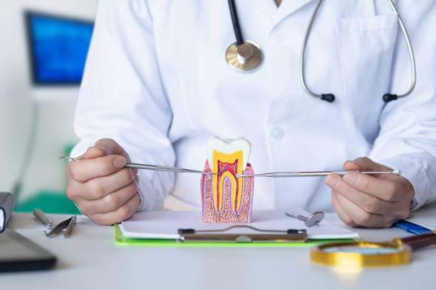 Best Emergency Root Canal Therapy in Gardendale, TX